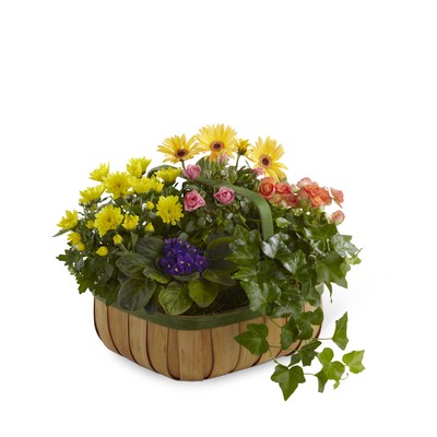 The FTD Gentle Blossoms(tm) Basket